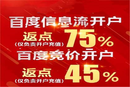 提升网站流量与转化率的关键——关键词竞价排名案例